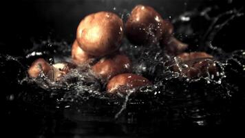 super lent mouvement champignons tomber sur le l'eau avec éclaboussures. sur une noir Contexte. filmé sur une haute vitesse caméra à 1000 ips. video