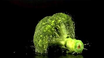 super lento movimento uno broccoli cascate su il tavolo con spruzzi di acqua. su un' nero sfondo.filmato a 1000 fps. video