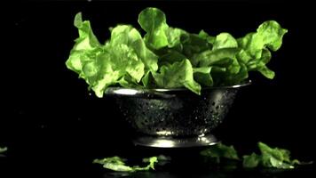 Super slow motion colander with lettuce leaves falls on the table.Filmed on a high-speed camera at 1000 fps. On a black background. video