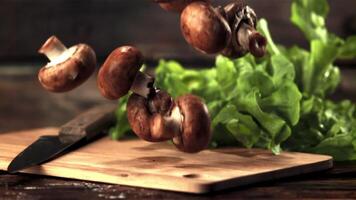 super langzaam beweging champignons vallen Aan de snijdend bord. tegen een donker achtergrond.gefilmd Aan een hoge snelheid camera Bij 1000 fps. video