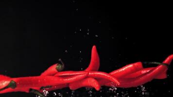 The super slow motion of the red chilli pepper rising off with drops of water. On a black background.Filmed on a high-speed camera at 1000 fps. High quality FullHD footage video