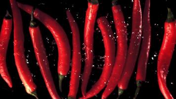 super lento movimento baccelli di rosso peperoncino Pepe salire su con spruzzi di acqua. su un' nero sfondo.filmato su un' alta velocità telecamera a 1000 fps. alto qualità FullHD metraggio video