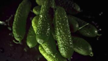 Super slow motion fresh cucumbers rise up. On a black background. Filmed on a high-speed camera at 1000 fps. High quality FullHD footage video