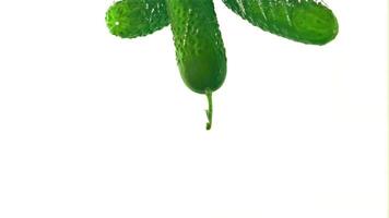 Super slow motion fresh cucumbers underwater. On a white background. Filmed on a high-speed camera at 1000 fps. High quality FullHD footage video