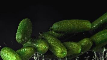 Super slow motion fresh cucumbers rise up. On a black background. Filmed on a high-speed camera at 1000 fps. High quality FullHD footage video