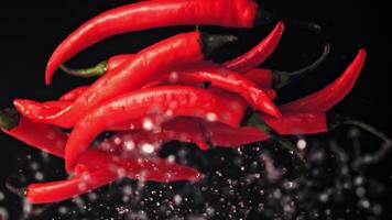 The super slow motion of the red chilli pepper rising off with drops of water. On a black background.Filmed on a high-speed camera at 1000 fps. High quality FullHD footage video