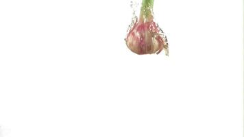 Super slow motion garlic falls under the water. On a white background. Filmed on a high-speed camera at 1000 fps. High quality FullHD footage video