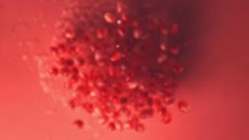 Super slow motion grain is a pomegranate with water droplets. On a red background. Filmed on a high-speed camera at 1000 fps. High quality FullHD footage video