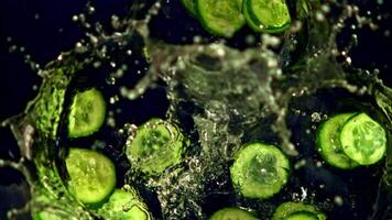 súper lento movimiento rebanado dentro redondo piezas Pepino caídas dentro el agua con salpicaduras en un negro antecedentes. filmado en un alta velocidad cámara a 1000 fps. alto calidad full HD imágenes video