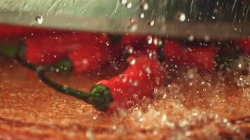 super lent mouvement sur le Chili poivre tomber gouttes de l'eau. sur une gris Contexte. filmé sur une haute vitesse caméra à 1000 ips. haute qualité Full HD métrage video