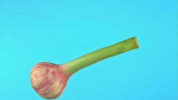 Super slow motion garlic falls into the water with splashes on a blue background. Filmed on a high-speed camera at 1000 fps. High quality FullHD footage video