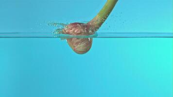 Super slow motion garlic falls into the water with splashes on a blue background. Filmed on a high-speed camera at 1000 fps. High quality FullHD footage video