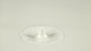 The super slow motion drop falls into the milk and creates circles. Macro background. Filmed on a high-speed camera at 1000 fps. High quality FullHD footage video