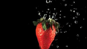 Super schleppend Bewegung auf frisch Erdbeeren fallen Wasser Tröpfchen. auf ein schwarz Hintergrund. gefilmt auf ein schnelle Geschwindigkeit Kamera beim 1000 fps. video
