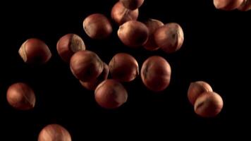 Super slow motion a bunch of hazelnuts falls down. On a black background. Filmed on a high-speed camera at 1000 fps. video