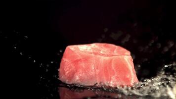 Super schleppend Bewegung frisch roh Thunfisch Steak Stürze auf das Wasser mit Spritzer. auf ein schwarz Hintergrund.gefilmt auf ein schnelle Geschwindigkeit Kamera beim 1000 fps. video