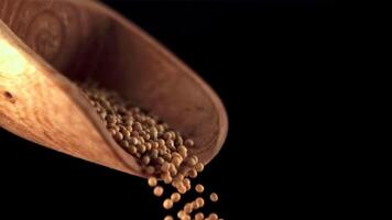 Super slow motion from a wooden scoop drops mustard. On a black background.Filmed on a high-speed camera at 1000 fps. video