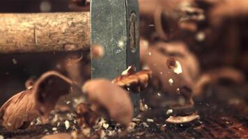 súper lento movimiento de el nuez es apuñalado con un martillo. en un de madera antecedentes. filmado en un alta velocidad cámara a 1000 fps. video