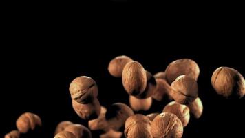 Super slow motion walnuts rise and fall down. On a black background.Filmed on a high-speed camera at 1000 fps. video