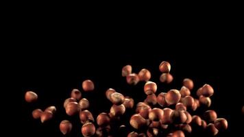 Super slow motion ripe hazelnuts rise up and fall. On a black background. Filmed on a high-speed camera at 1000 fps. video