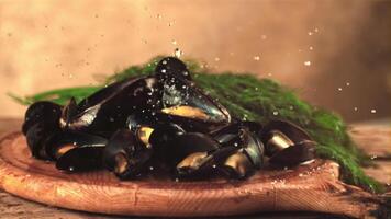 súper lento movimiento en hervido mejillones con eneldo soltar gotas de agua. en un marrón antecedentes. filmado en un alta velocidad cámara a 1000 fps. video