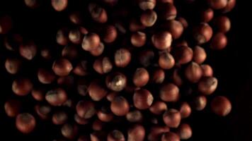 Super slow motion hazelnuts rise up and fall. On a black background. Filmed on a high-speed camera at 1000 fps.High quality FullHD footage video