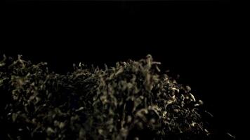 The super slow motion of the tea for brewing rises up. On a black background.Filmed on a high-speed camera at 1000 fps. video