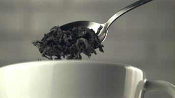 Super slow motion with spoons drop dry tea leaves into a cup. On a gray background. Filmed on a high-speed camera at 1000 fps. video