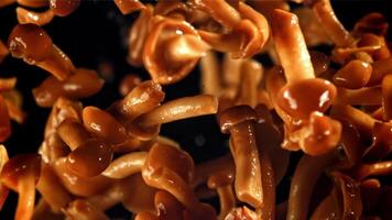 Pickled mushrooms fly up and fall down. Filmed on a high-speed camera at 1000 fps. High quality FullHD footage video