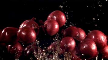 Onions with water drops in fly. Filmed is slow motion 1000 fps. High quality FullHD footage video