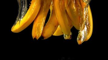 super lent mouvement bananes sur une noir Contexte tomber en dessous de le l'eau avec air bulles. filmé à 1000 fps.haut qualité Full HD métrage video