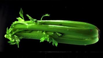 The super slow motion of the celery falls with splashes in the water. On a black background. Filmed on a high-speed camera at 1000 fps. High quality FullHD footage video