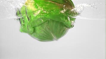 Super slow motion cabbage falls under the water with splashes and air bubbles. On a white background. Filmed at 1000 fps. video