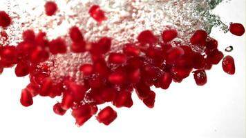 Super slow motion pomegranate grains fall under the water with air bubbles. On a white background.Filmed on a high-speed camera at 1000 fps. High quality FullHD footage video