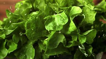 Super slow motion on the lettuce leaves fall drops of water. On a wooden background.Filmed at 1000 fps. video