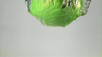 Super slow motion under the water falls forks cabbage with air bubbles. On a white background. Filmed at 1000 fps. video