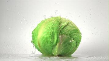 Super slow motion on the fork of cabbage on a white background drop drops of water. Filmed at 1000 fps.High quality FullHD footage video