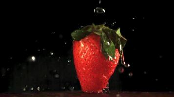 super lent mouvement sur des fraises laissez tomber l'eau gouttelettes. sur une noir Contexte. filmé sur une haute vitesse caméra à 1000 ips. video