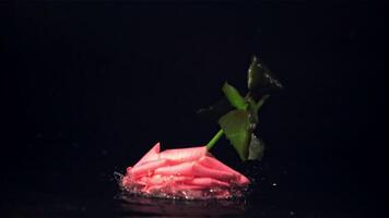 super lento movimento uno fiore rosa cascate su il tavolo. su un' nero sfondo. girato su un' alta velocità telecamera a 1000 fps. video