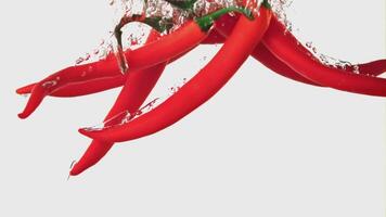 Super slow motion chilli pepper falls under the water with air bubbles. On a white background. Filmed on a high-speed camera at 1000 fps. High quality FullHD footage video