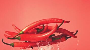 Super slow motion chili pods rise up with drops of water. On a red background. Filmed on a high-speed camera at 1000 fps.High quality FullHD footage video