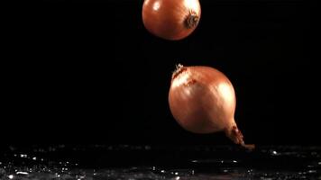 Onion falls on the table. Filmed is slow motion 1000 fps. High quality FullHD footage video