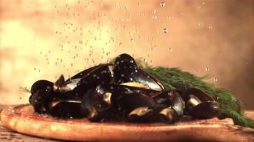 súper lento movimiento en el mejillones con eneldo soltar gotas de agua. en un marrón fondo.filmado en un alta velocidad cámara a 1000 fps. video