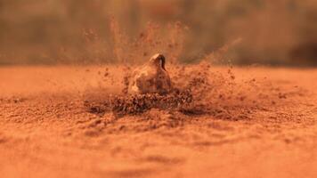 Super slow motion one truffle falls into the cocoa powder. On a brown background. Filmed on a high-speed camera at 1000 fps. video