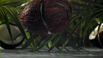 The coconut is broken in half with a splash of milk. Filmed on a high-speed camera at 1000 fps. High quality FullHD footage video