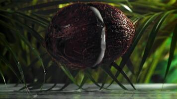 The coconut breaks in half with splashes. Filmed on a high-speed camera at 1000 fps. High quality FullHD footage video