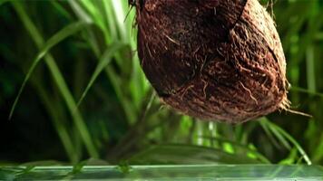 The coconut breaks in half with splashes. Filmed on a high-speed camera at 1000 fps. High quality FullHD footage video