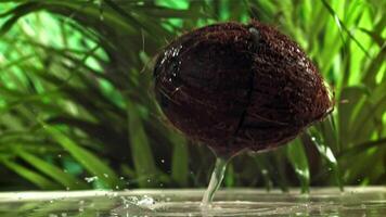 The coconut breaks in half with splashes. Filmed on a high-speed camera at 1000 fps. High quality FullHD footage video