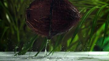 The coconut breaks in half with splashes. Filmed on a high-speed camera at 1000 fps. High quality FullHD footage video