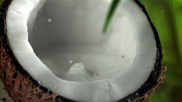 Milk is poured into half a coconut with a splash. Filmed on a high-speed camera at 1000 fps. High quality FullHD footage video